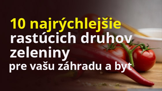 banner-10-druhov-zeleniny